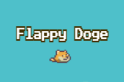  Flappy Doge