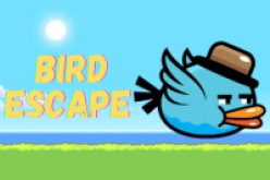 Bird Escape