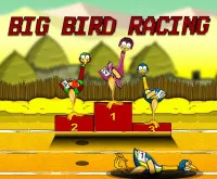 Big Bird Racing