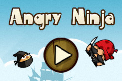 Angry Ninjas