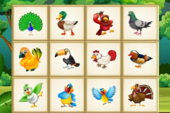 Birds Board Puzzles