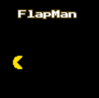 FlapMan