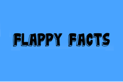 Flappy Facts