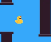 Flappy Placid Plastic Duck