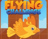 Flying Challenge