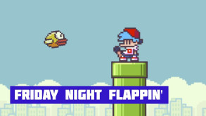 FNF Friday Night Flappin'