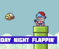 FNF Friday Night Flappin'