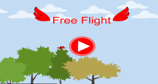 Free Flight