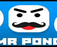 Mr Pong