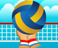 Volleyball Sport Game