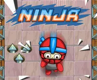 Ninja