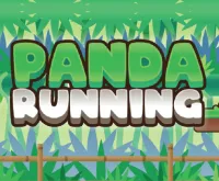 Panda Running